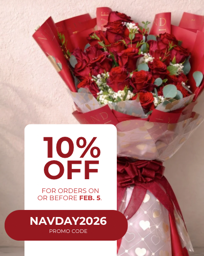 2026 NA VDAY Web Banner Mobile (400 x 500 px) - 2